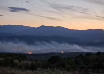 Фото: Фејсбук на заменик директорот на ЈП „Македонски шуми“, Кире Михаилов