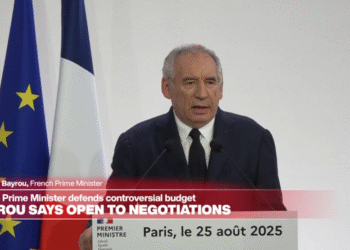 Фото: Скриншот од видео на FRANCE 24 English