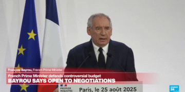Фото: Скриншот од видео на FRANCE 24 English