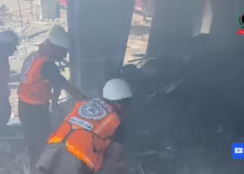 Фото: Скриншот од видео на ABC News (Australia)