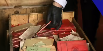 Фото: Скриншот од Viory video