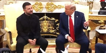 Фото: Скриншот од видео на VISEGRAD/ X