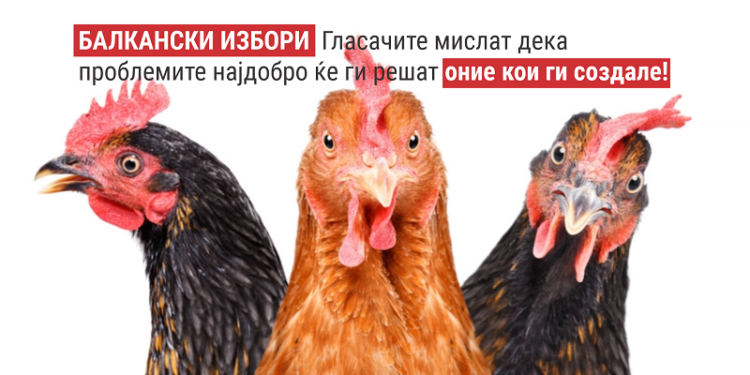 ГЛАСАЧИ СО КОКОШКИНО ПОМНЕЊЕ Не се кокошки, само имаат кокошкино памтење