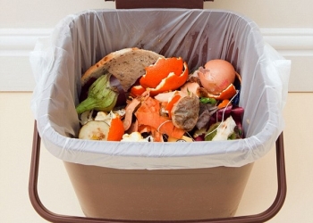 BK9BDX UK. Food waste in indoor food waste bin with lid open indoors