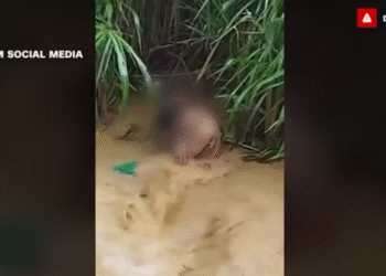 Фото: Скриншот од видео на CNN