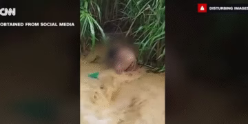 Фото: Скриншот од видео на CNN