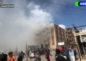 Фото: Скриншот од видео на ВВС