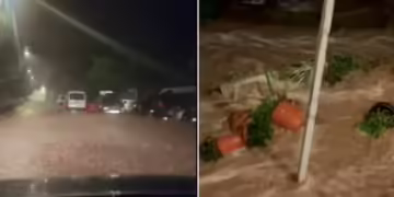 Фото: Скриншот од видеа објавени на Далмација денас и Неретвански портал