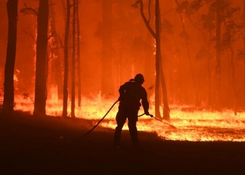 epaselect epa08007742 RFS volunteers and NSW Fire and Rescue officers protect the Colo Heights Public School from being impacted by the Gospers Mountain fire near Colo Heights south west of Sydney, Australia, 19 November 2019.  EPA-EFE/DEAN LEWINS AUSTRALIA AND NEW ZEALAND OUT