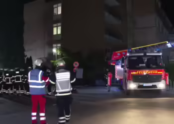 Фото: Скриншот од видео на FAZ