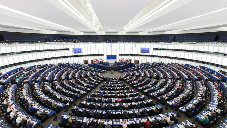 Европскиот Парламент  го повикува политичкото раководство во ЕУ и земјите-членки итно и енергично да се спротивстават на обидите за руско мешање