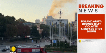 Фото: Скриншот од видео на WION