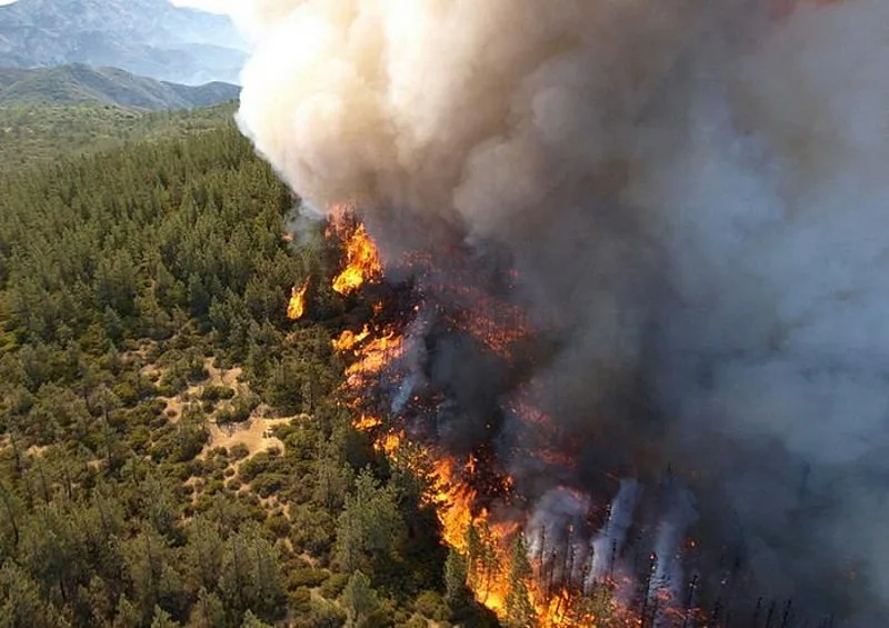 Во Чиле прогласена дводневна жалост поради жртвите во пожарите