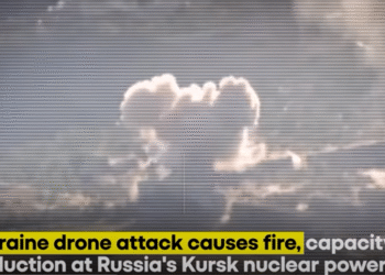 Фото: Скриншот од видео на WION
