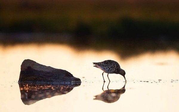 Фото: MATTI SARANPAA